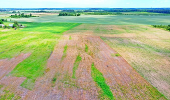 Parduodamas sklypas Juodbalių k., Vilniaus r. sav., 50 a ploto 7