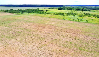Parduodamas sklypas Juodbalių k., Vilniaus r. sav., 50 a ploto 9