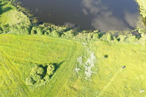 Parduodamas sklypas Kumpuočių k., Zarasų r. sav., 84 a ploto 11