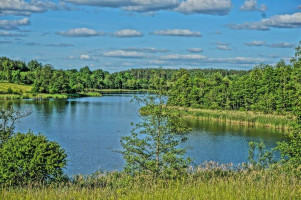 Parduodamas sklypas Kumpuočių k., Zarasų r. sav., 84 a ploto 7