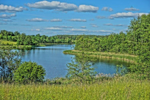 Parduodamas sklypas Kumpuočių k., Zarasų r. sav., 84 a ploto 8