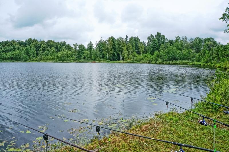 Parduodamas sklypas Kazitiškio k., Ignalinos r. sav., 172.00 a ploto 2