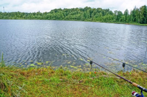 Parduodamas sklypas Kazitiškio k., Ignalinos r. sav., 172.00 a ploto 13