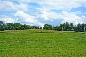 Parduodamas sklypas Kazitiškio k., Ignalinos r. sav., 172.00 a ploto 5