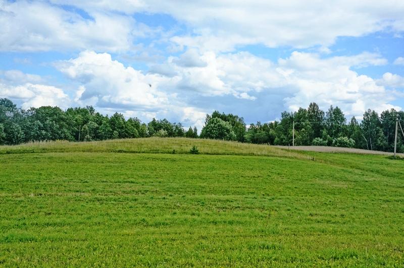 Parduodamas sklypas Kazitiškio k., Ignalinos r. sav., 172.00 a ploto 5