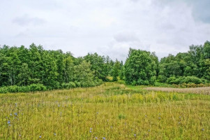 Parduodamas sklypas Kazitiškio k., Ignalinos r. sav., 172.00 a ploto 7