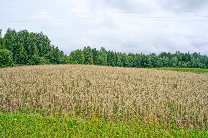 Parduodamas sklypas Kazitiškio k., Ignalinos r. sav., 172.00 a ploto 8