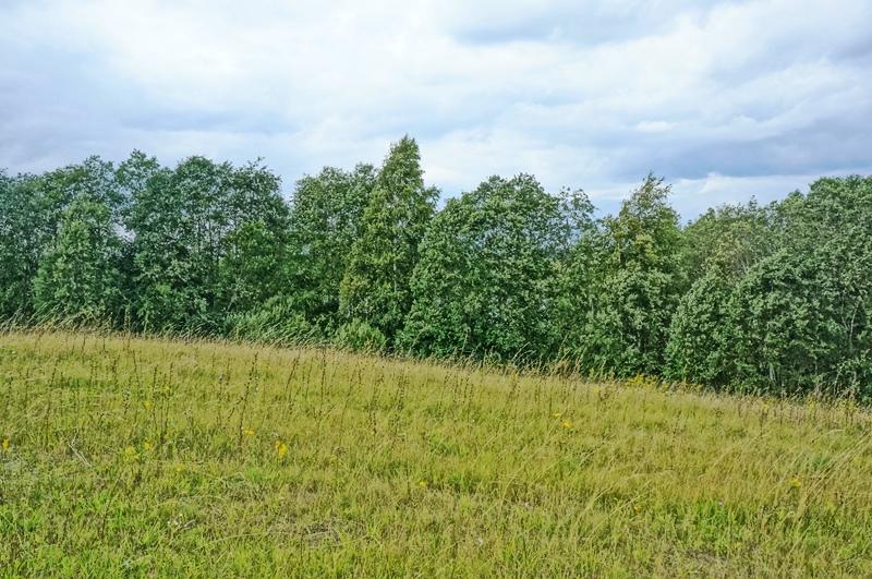 Parduodamas sklypas Kazitiškio k., Ignalinos r. sav., 172.00 a ploto 9