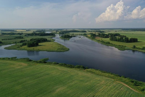 Parduodamas sklypas Vainiūniškio k., Kupiškio r. sav., 101.00 a ploto 11