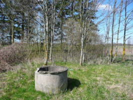 Parduodamas sklypas Vainiūniškio k., Kupiškio r. sav., 101.00 a ploto 6