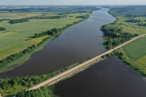 Parduodamas sklypas Vainiūniškio k., Kupiškio r. sav., 101.00 a ploto 8