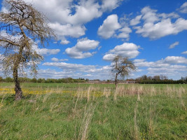 Parduodamas namas Kurklių mstl., Anykščių r. sav., 89 m² ploto 3 kambariai 14
