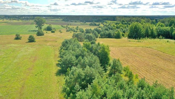 Parduodamas sklypas Pučkalaukio k., Vilniaus r. sav., 75.90 a ploto 7