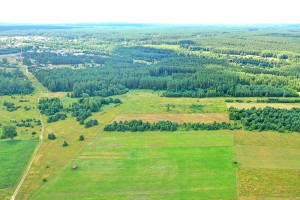 Parduodamas sklypas Pučkalaukio k., Vilniaus r. sav., 75.90 a ploto 9