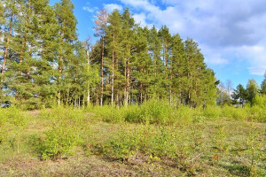 Parduodamas sklypas Plavėjų k., Ignalinos r. sav., 410 a ploto 11
