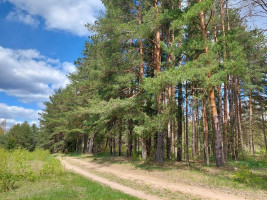 Parduodamas sklypas Plavėjų k., Ignalinos r. sav., 410 a ploto 13