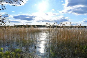 Parduodamas sklypas Plavėjų k., Ignalinos r. sav., 410 a ploto 14