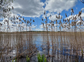 Parduodamas sklypas Plavėjų k., Ignalinos r. sav., 410 a ploto 15