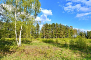 Parduodamas sklypas Plavėjų k., Ignalinos r. sav., 410 a ploto 9