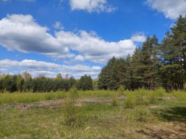 Parduodamas sklypas Plavėjų k., Ignalinos r. sav., 410 a ploto 10