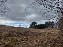Parduodamas sklypas Salinių k., Zarasų r. sav., 1050.00 a ploto 11