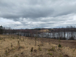 Parduodamas sklypas Salinių k., Zarasų r. sav., 1050.00 a ploto 5