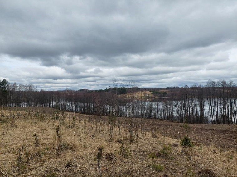 Parduodamas sklypas Salinių k., Zarasų r. sav., 1050.00 a ploto 5