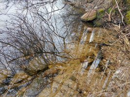 Parduodamas sklypas Salinių k., Zarasų r. sav., 1050.00 a ploto 9