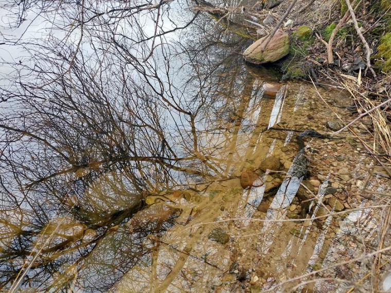 Parduodamas sklypas Salinių k., Zarasų r. sav., 1050.00 a ploto 9