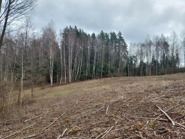 Parduodamas sklypas Salinių k., Zarasų r. sav., 1050.00 a ploto 10