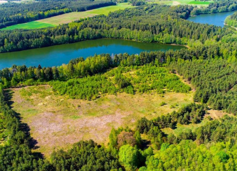 Parduodamas  sklypas Salučių k., Lazdijų r. sav., 827.87 a ploto