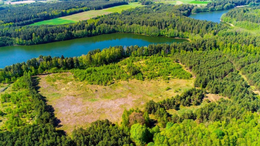 Parduodamas sklypas Salučių k., Lazdijų r. sav., 827.87 a ploto 1