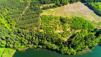 Parduodamas  sklypas Salučių k., Lazdijų r. sav., 827.87 a ploto 2