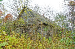 Parduodamas namas Daubariškėlės k., Ignalinos r. sav., 100 m² ploto 2 kambariai 15