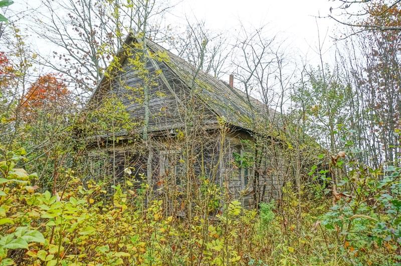 Parduodamas namas Daubariškėlės k., Ignalinos r. sav., 100 m² ploto 2 kambariai 15