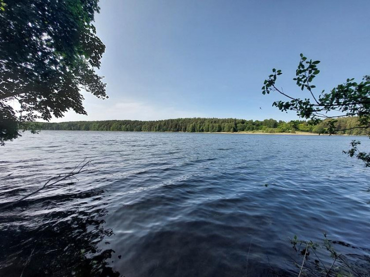 Parduodamas sklypas Zokorių k., Zarasų r. sav., 534.00 a ploto 4