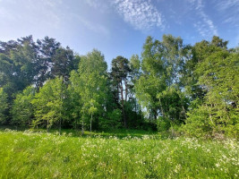 Parduodamas sklypas Zokorių k., Zarasų r. sav., 534.00 a ploto 8