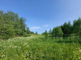 Parduodamas sklypas Zokorių k., Zarasų r. sav., 534.00 a ploto 9