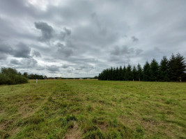Parduodamas sklypas Lėbartų k., Klaipėdos r. sav., 13.00 a ploto 6