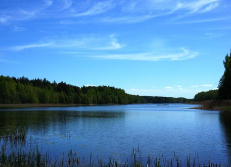 Parduodamas sklypas Naujojo Daugėliškio k., Ignalinos r. sav., 300 a ploto