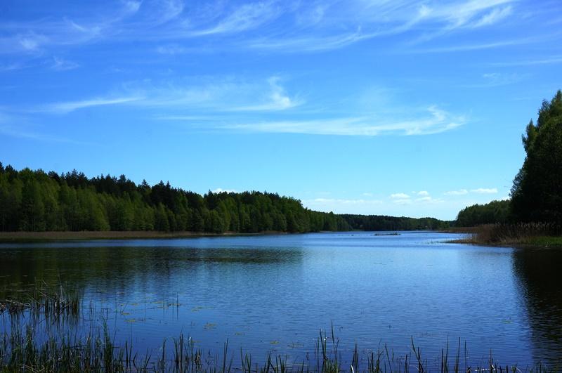 Parduodamas sklypas Naujojo Daugėliškio k., Ignalinos r. sav., 300 a ploto 1