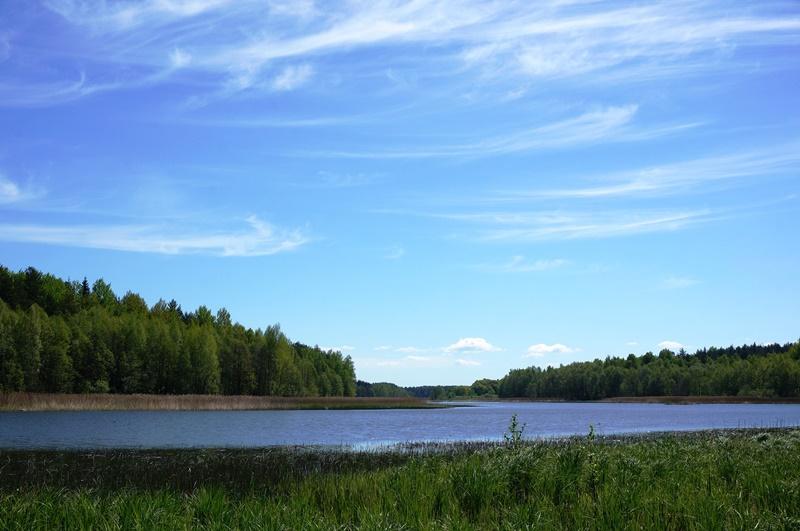 Parduodamas sklypas Naujojo Daugėliškio k., Ignalinos r. sav., 300 a ploto 2