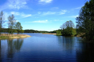 Parduodamas sklypas Naujojo Daugėliškio k., Ignalinos r. sav., 300 a ploto 11