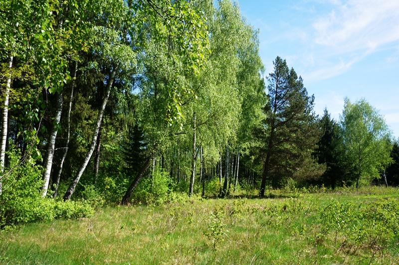 Parduodamas sklypas Naujojo Daugėliškio k., Ignalinos r. sav., 300 a ploto 4