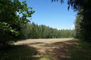 Parduodamas sklypas Naujojo Daugėliškio k., Ignalinos r. sav., 300 a ploto 5