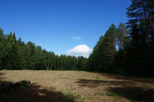 Parduodamas sklypas Naujojo Daugėliškio k., Ignalinos r. sav., 300 a ploto 6