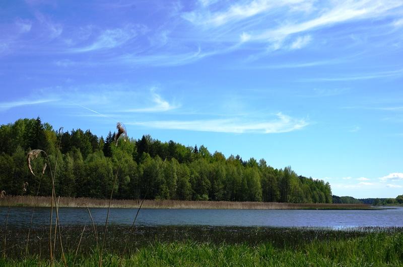 Parduodamas sklypas Naujojo Daugėliškio k., Ignalinos r. sav., 262.00 a ploto 8