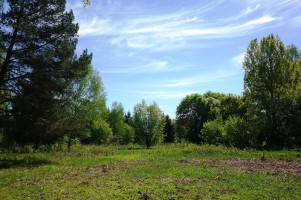 Parduodamas sklypas Naujojo Daugėliškio k., Ignalinos r. sav., 300 a ploto 8