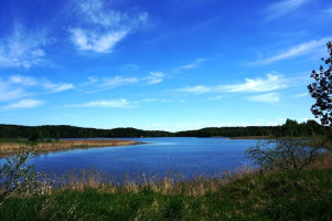 Parduodamas sklypas Naujojo Daugėliškio k., Ignalinos r. sav., 300 a ploto 10