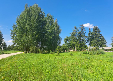 Parduodamas sklypas Garnelių k., Utenos r. sav., 12 a ploto